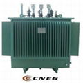 Oil immersed power transformer