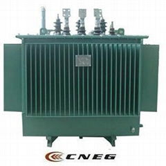 Oil immersed power transformer