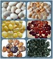 Various color and polished pebbles for paving