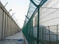 prison welded wire mesh fence 2