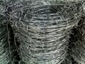 PVC barbed wire 2
