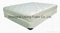 Foam Mattress 1