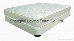 Foam Mattress