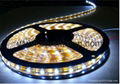Waterproofing UL Approved High CRI Epistar SMD 5050 60 LEDs 14.4W/M Flexible Str 4