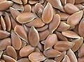 Flaxseed Extract 1