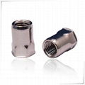  Blind Rivet Nut 2