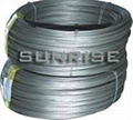 S17700 spring wires