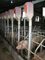 猪场自动化上料系统 3