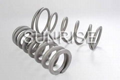 titanium spring