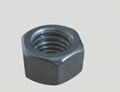 Stainless steel Hex Nut (ASTM A194 8/8M) 1