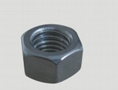 Stainless steel Hex Nut (ASTM A194 8/8M)