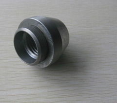 Special Nut ,Non-standard Nut ,Nut,Cap Nut