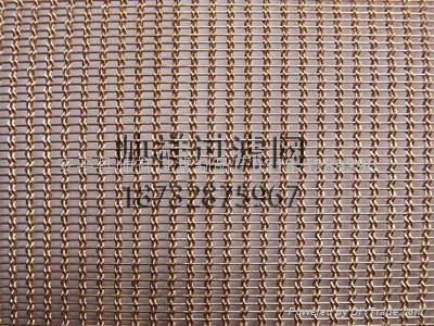 Metal Decorative Wire Mesh 4