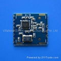 VW1101M Series RF Module 1