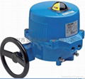 Italy Valbia Electric Actuator