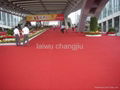 exhibition carpet 3