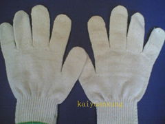 gloves