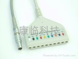 Holter recorde cable