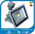 50W sensory flood light