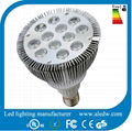 12W Par38 Led light 3