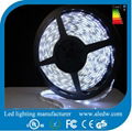 5050SMD Led flexible strip light 60leds