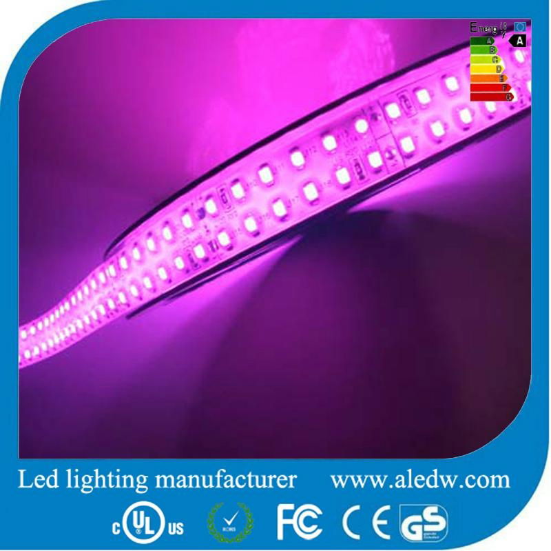 3528SMD Led flexible strip light 240leds/m 3