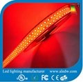 3528SMD Led flexible strip light 240leds/m 4