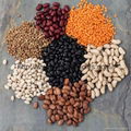 Beans, Mung Beans, Lentils