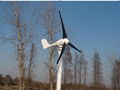 300W Wind Turbine100W-3000W 2