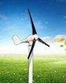 S  Wind Turbine100W-300W 1