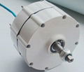 600w permanent magnet alternator