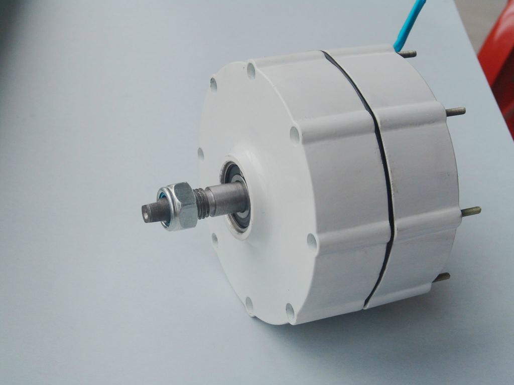 600w permanent alternator G 600 FLYT (China Manufacturer