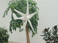 S  Wind Turbine100W-300W 2