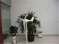 S  Wind Turbine100W-300W 3