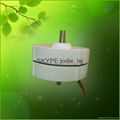 100w 12v/24v ac low speed permanent magnet 2