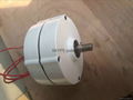 100w 12v/24v ac low speed permanent magnet 3