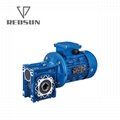 RV gearbox reducer with motor output hollow shaft