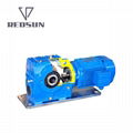 REDSUN SA series helical worm gear