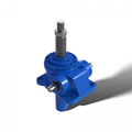 SWL series worm screw jack for lifting platform