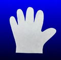 Single Use Spa Gloves