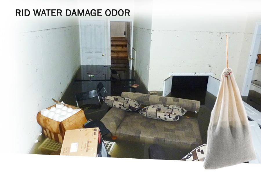 SMELLEZE Basement Odor Removal Deodorizer: Eliminate Smell in 200 Sq. Ft.  3