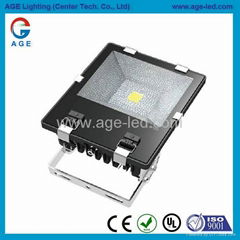 AC85-277V.IP65,Size259x250x93mm.100W LED floodlight