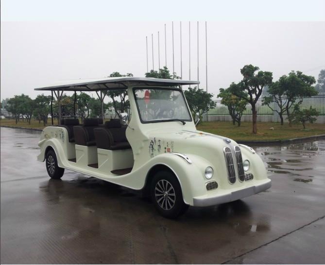 电动老爷观光车 2