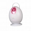 Egg Negative Ion Facial Sauna