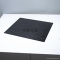 BENS Induction Cooker 4