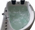 Two Person Massage Bathtub SWG-819 4