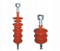 电站用高压户内支柱绝缘子 1