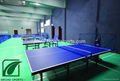 Vinly Table Tennis PVC sports Floor In Red Color 5