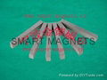 arc magnets 3