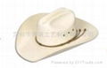 straw cowboy  hat